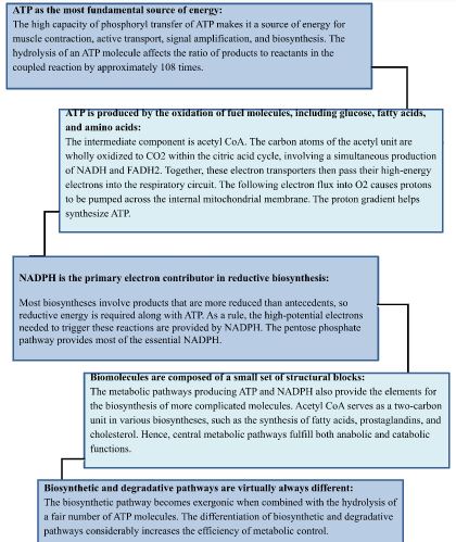 The Central Processes