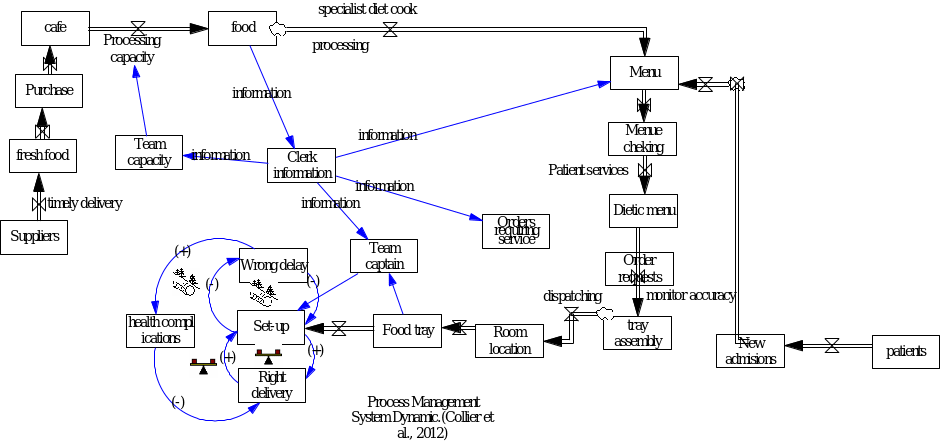 process-management-in-system-dynamic-model-in-healthcare-free-essay