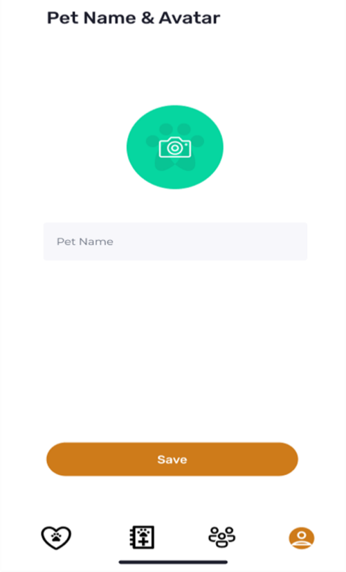 Pet’s name and creates an avatar for the pet