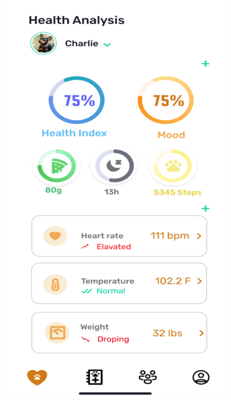 The health of the pet