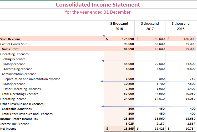 Consolidated Income Statement