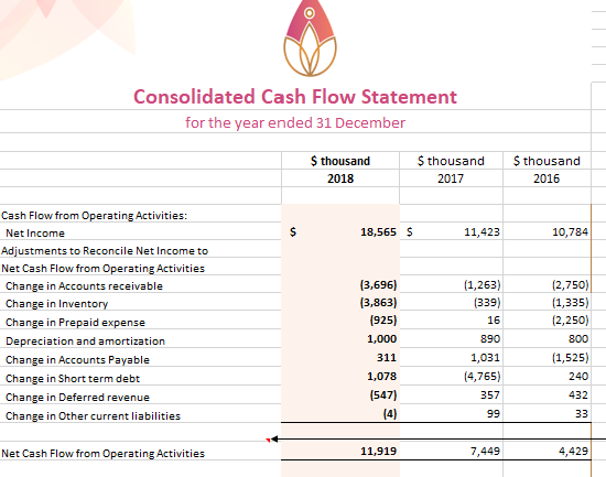 Consolidated Cash Flow Statement