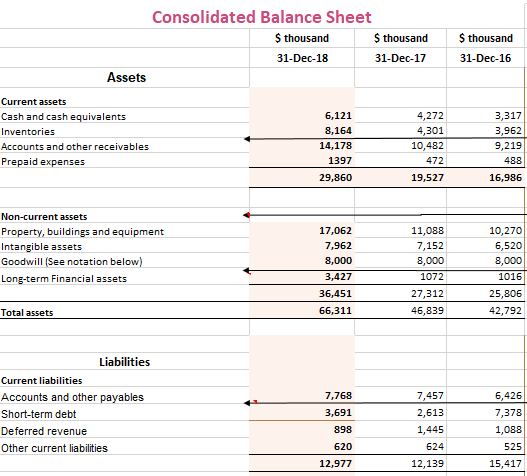 Consolidated Balance Sheet
